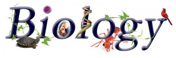 Onlinewriters01's tweet image. #biologyassignmenthelp #biologyexperttutors #onlinebiologyhelp #biologyhomework
#Biology 
We at assignment help provides students all the required materials from several sources and help them make a single, accurate and correct conclusion out of them.

Dm @Onlinewriters01 
#USA