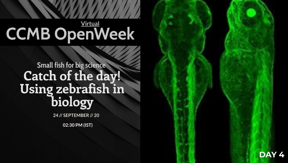 ccmb_csir's tweet photo. And the afternoon on some of the favorite animal models used in life science research and the power of microscopy.
https://t.co/JKRixHyflt
https://t.co/cl05Wgtcvf
https://t.co/AZvnJfFLHR
And then of course the quiz competition for those who have registered for it.
#openweek2020 https://t.co/eplb0t70RI
