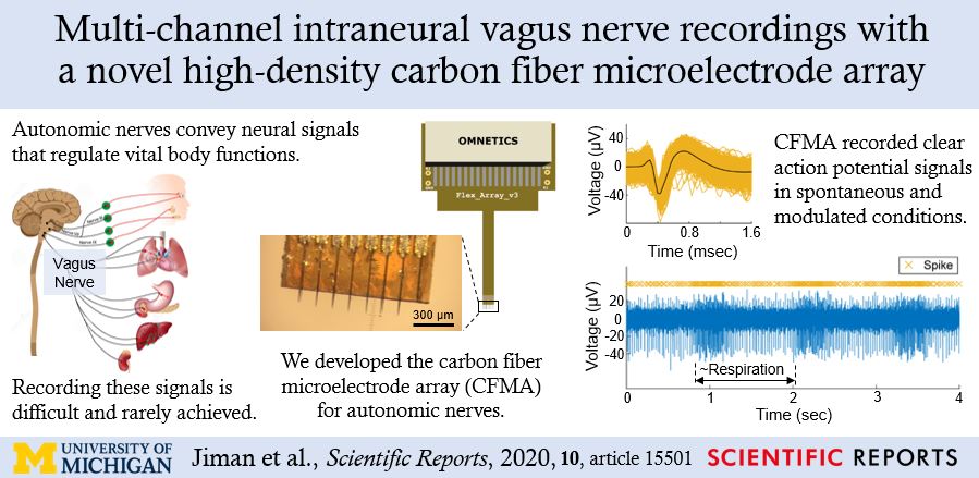 Tim Bruns (@tim_bruns) on Twitter photo New #pneurolab publication: Intraneural #vagus nerve recordings with #carbonfiber array. Led by <a href="/UMBME/">U-M BME</a> #PhD alum Ahmad Jiman, a big collab with <a href="/ChestekLab/">Cynthia Chestek</a> & <a href="/seymourjp2/">cryptocecco.eth</a>. <a href="/NIBIBgov/">NIBIB</a> #NIH_SPARC & <a href="/NSF/">U.S. National Science Foundation</a> funded. <a href="/UMBiointerfaces/">UM Biointerfaces</a>
nature.com/articles/s4159… New #pneurolab publication: Intraneural #vagus nerve recordings with #carbonfiber array. Led by <a href="/UMBME/">U-M BME</a> #PhD alum Ahmad Jiman, a big collab with <a href="/ChestekLab/">Cynthia Chestek</a> & <a href="/seymourjp2/">cryptocecco.eth</a>. <a href="/NIBIBgov/">NIBIB</a> #NIH_SPARC & <a href="/NSF/">U.S. National Science Foundation</a> funded. <a href="/UMBiointerfaces/">UM Biointerfaces</a>
nature.com/articles/s4159…