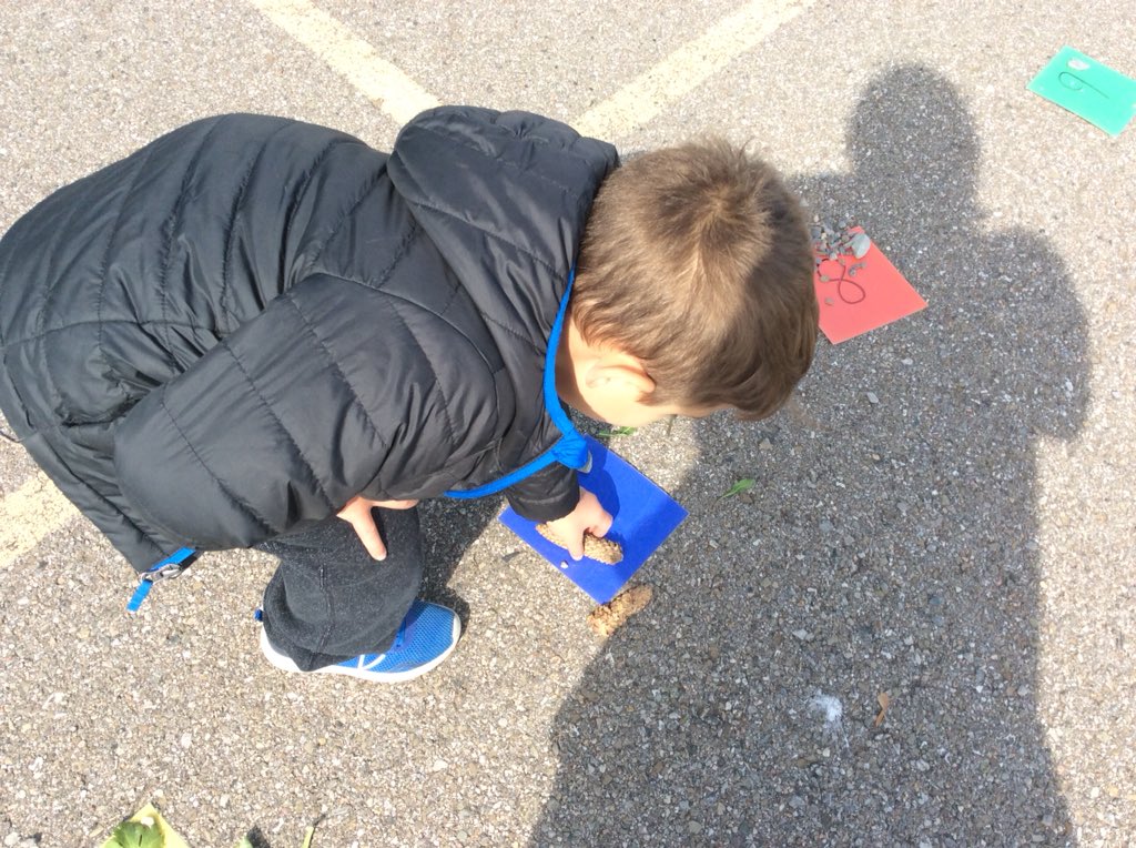 Kinder Room 208 tweet media