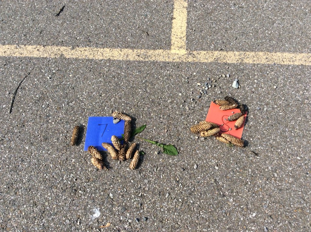 Kinder Room 208 tweet media