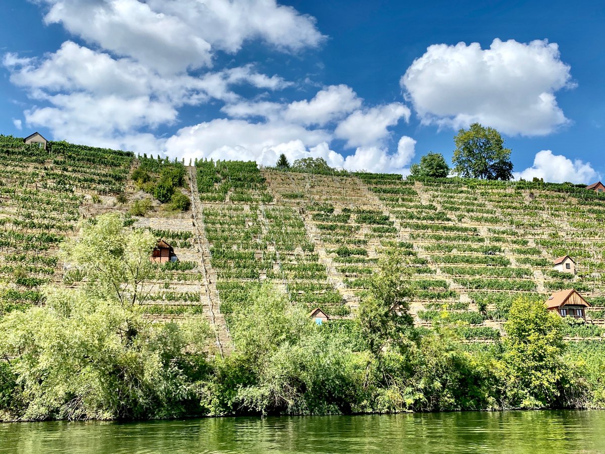 enjoy_stuttgart's tweet photo. Am letzten Wochenende haben wir nochmal das schöne Wetter genutzt und waren am Max-Eyth-See und auf dem Neckar unterwegs. Einfach herrlich, oder? Wasser💦, Weinberge 🍇 und Sonnenschein☀️🤩
#enjoystuttgart #dasiststuttgart #stuttgartviews https://t.co/LegKkvlgpw