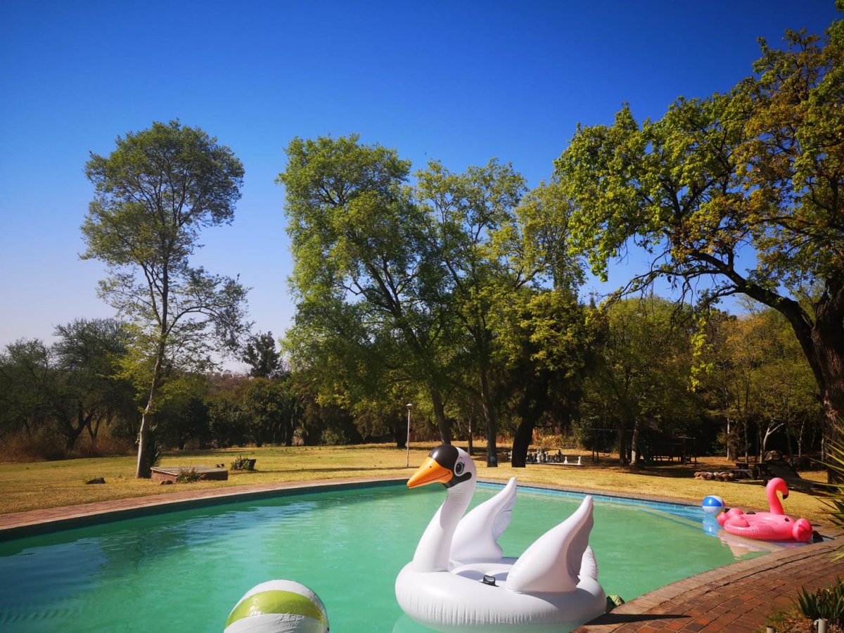 TheVenueHotel's tweet image. As the days get warmer, the trees get greener and the whiff of summer is in the air, our pool floaties are waiting to spend good times with you 🌞☀️🕶️🥽
-
-
-
#TheVenueHotel #OrionHotels #PoolFloaties #SwanFloatie #FlamingoFloatie #SummerDaysAreComing #Pool #Travel #Hospitality