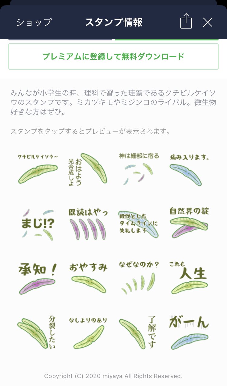 Saincarna サンカルナ Saincarna Twitter