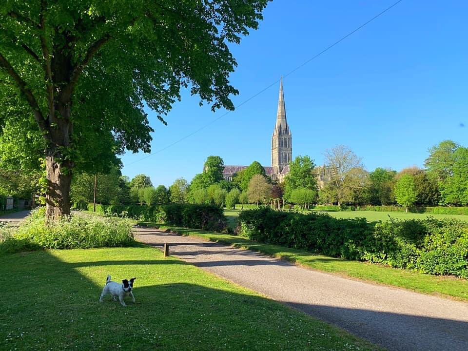 TracyTraxter's tweet photo. @GaryBarlow Stayed home this year for obvious reasons, lots of dog walking in and around my home town. Guess where I live! 🤔 https://t.co/tcPLgXmTR6