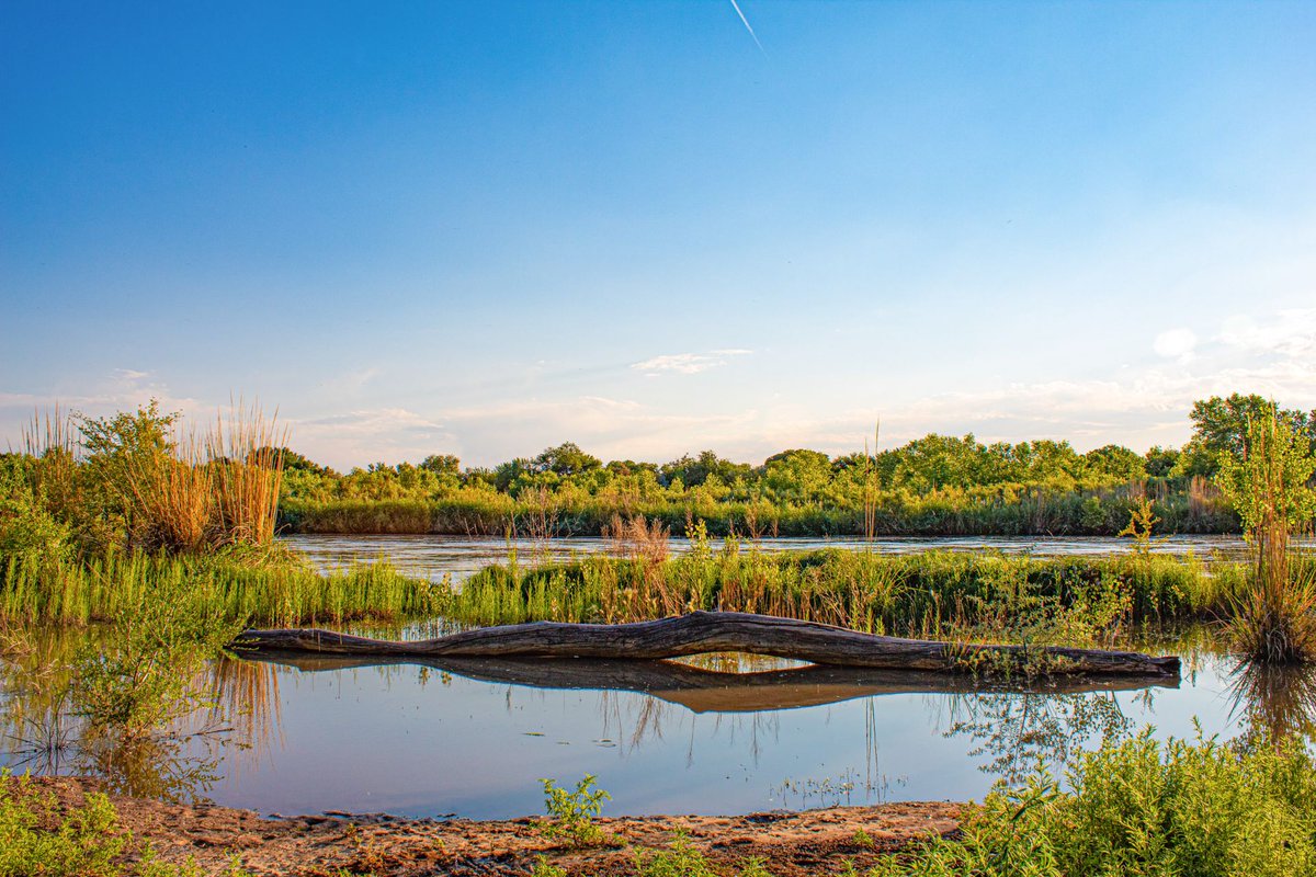 USFWSRefuges's tweet photo. Tuesday, Sept 29, is Urban National Wildlife Refuge Day. There are 101 urban refuges in the Refuge System, including Valle de Oro National Wildlife Refuge, along the Rio Grande in Albuquerque https://t.co/PiRtT4jmlD (2-minute video)
#CommunityInTheWild
📷: Janelle Golden/@USFWS https://t.co/lN29Ld5HbE