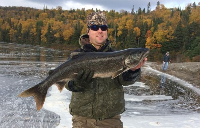 FishWildlifeON's tweet photo. Hurry, only one week left in #LakeTrout season in most FMZs!
Looking for a new fishing spot? Try searching by fish species at https://t.co/y4UXC8nw3o.
Make sure you’re following local restrictions and public health advice.
#FishSafeON #fishonline #fishing #ontarioanglers https://t.co/zIJ3LubVrg