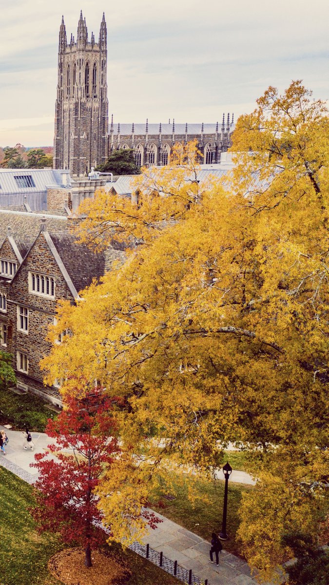 DukeU's tweet photo. Wallpaper Wednesday 📲
#DukeFall 🍂 https://t.co/5ctMVAwMVZ