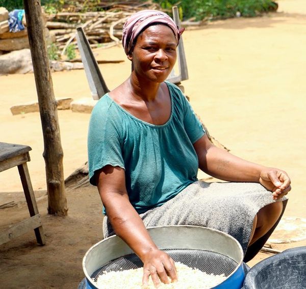 AFD_en 🇫🇷 🇪🇺 tweet media