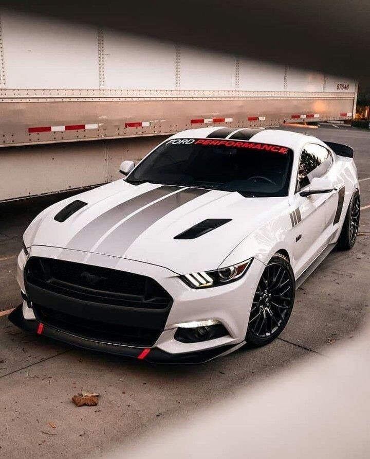 michele69028102's tweet photo. mustang https://t.co/RS5AkUyEZD