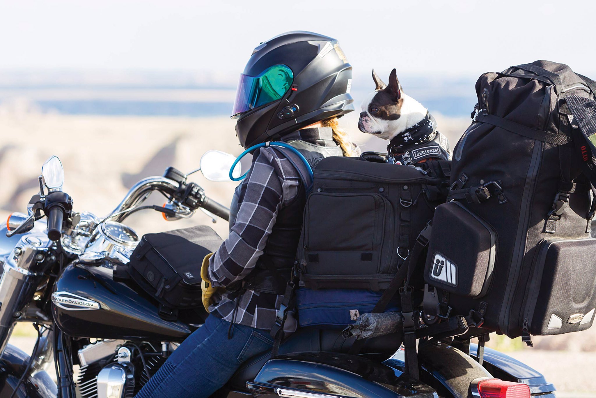 Accela バイク記事紹介 Twitterren クリアキン のキャリーシートバッグ 犬 をバイク に乗せれて バイク から外しても ペットキャリーバッグとしても使用可能 これで愛犬とキャンプツーリングとか 憧れる T Co Pgvrobq1vj T Co