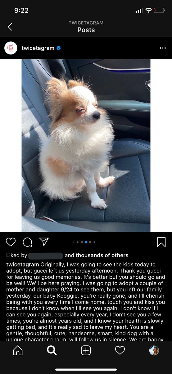 Ash I Ve Never Cried This Hard Over A Twicetagram Post Run Free Across The Rainbow Bridge Dearest Gucci Ash I Ve Never Cried This Hard Over A Twicetagram Post Run Free Across The Rainbow Bridge Dearest Gucci