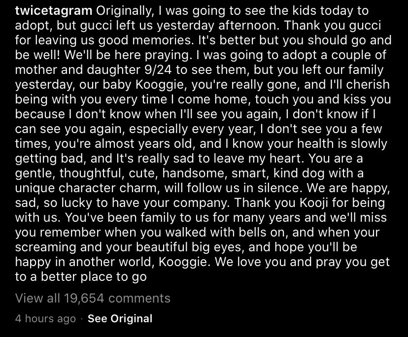 Ash I Ve Never Cried This Hard Over A Twicetagram Post Run Free Across The Rainbow Bridge Dearest Gucci Ash I Ve Never Cried This Hard Over A Twicetagram Post Run Free Across The Rainbow Bridge Dearest Gucci