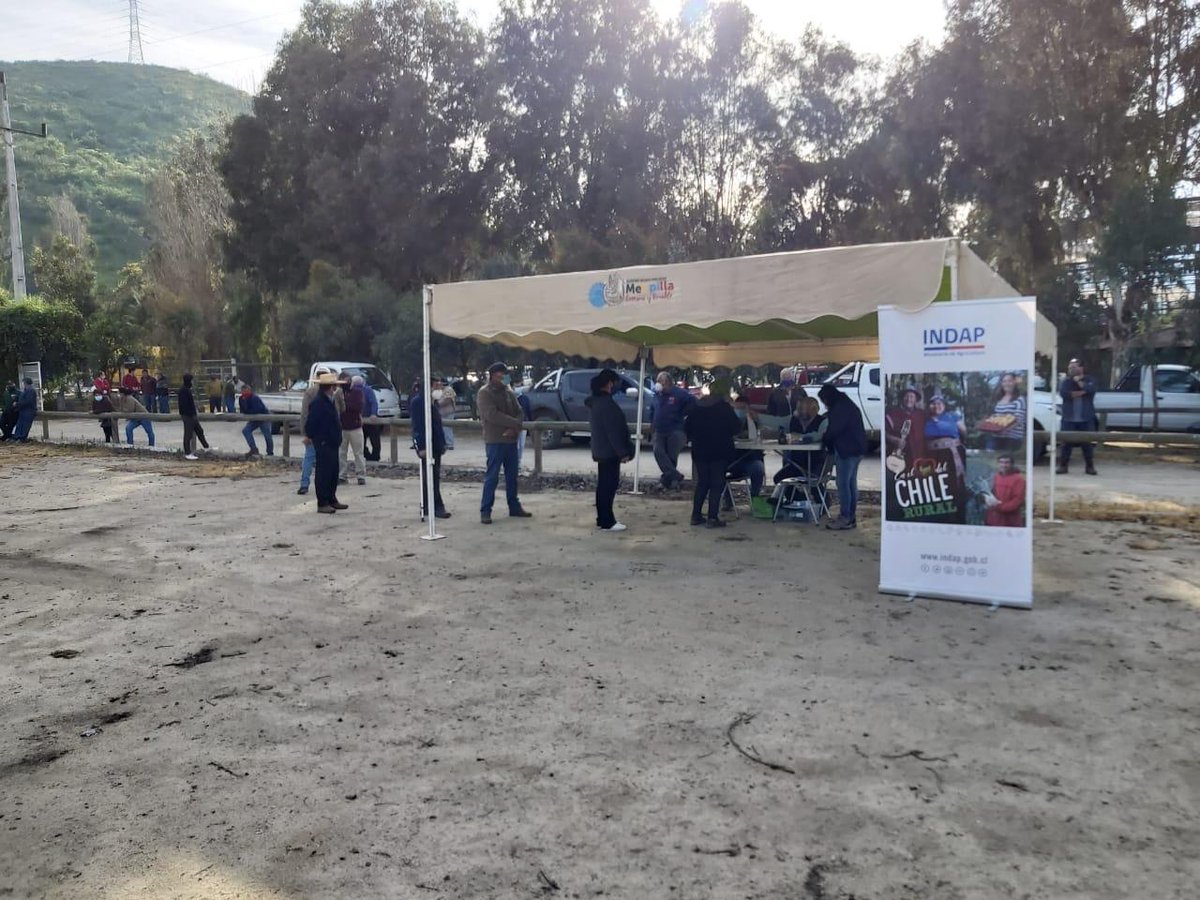 El día de ayer INDAP RM en terreno continúan con la entrega de ayuda en alimentación para ganaderos de la comuna de María Pinto. Hoy es el turno de la comuna de Melipilla, todo dispuesto para la entrega con todas las medidas sanitarias respectivas.
