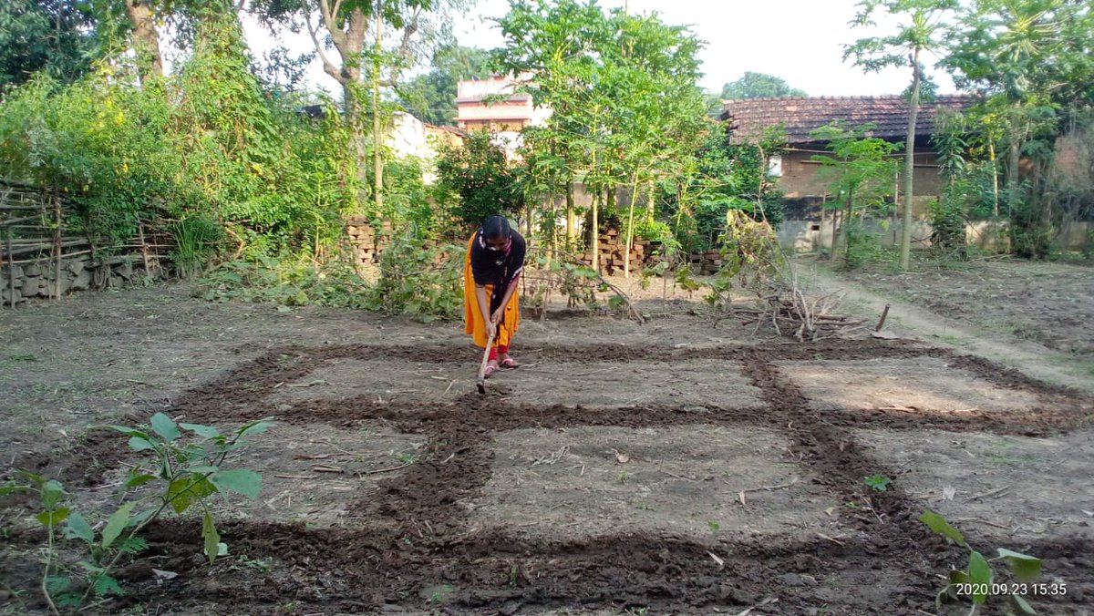 Tejaswini_Jh's tweet photo. #TejaswiniClubsJharkhand

#PoshanMaahTejaswini

#TejaswiniPoshanBadi 

Tejaswini Girls creating Poshan Badis in their villages_ Action towards Alleviation of Malnutrition in the State of Jharkhand. https://t.co/yqk2JCaki6
