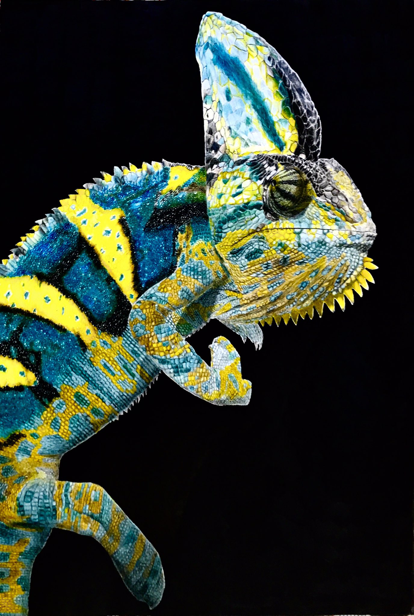 上等な 鉛筆画 カメレオン 絵画 タペストリ Www Indiashopps Com