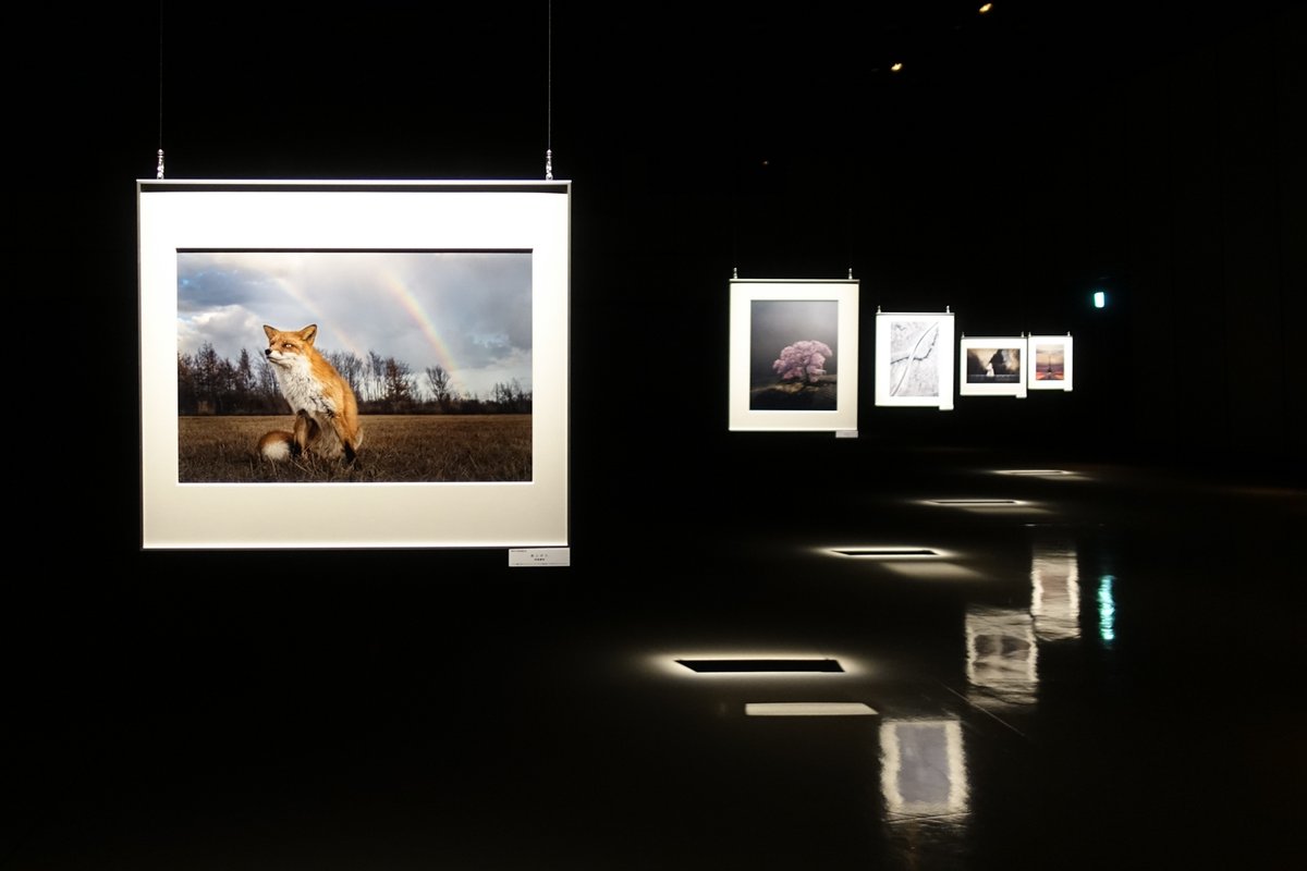 東京カメラ部写真展 東京カメラ部写真展