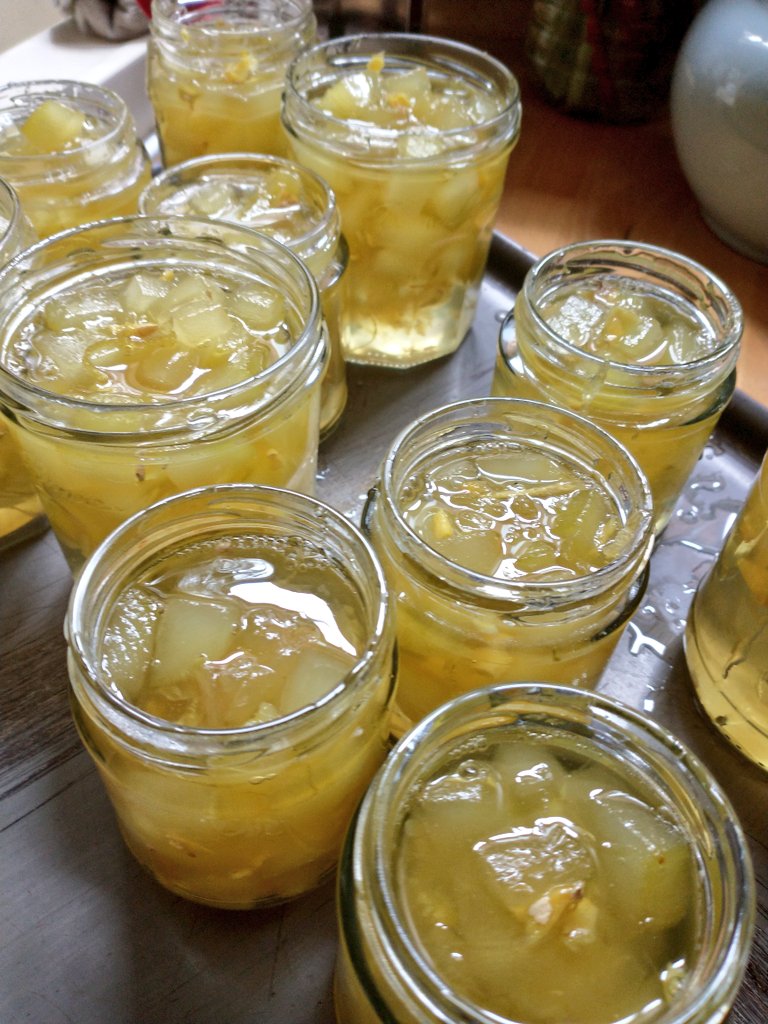 FletcherFoley's tweet photo. When life gives you marrows. #makejam https://t.co/NXpyIXf3I2