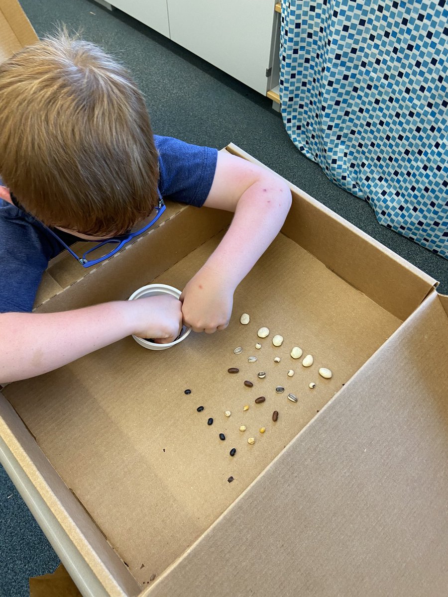 Med_TOY_2015's tweet photo. @FOSSscience is my favorite kind of science! #seedsorting #observations #littlescientists https://t.co/Jt1CSN1iMq