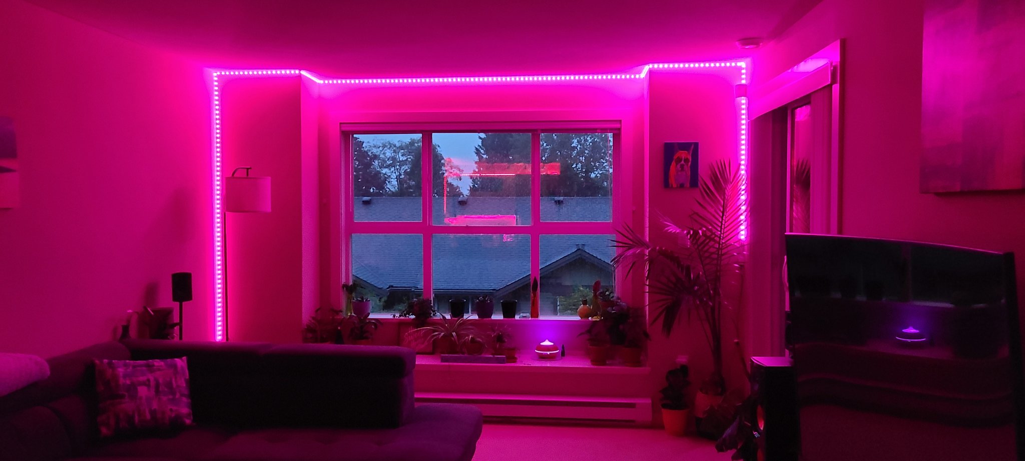 TW Pornstars 3 pic. Kinkykatlive 💙. Twitter. 🤗🤗🤗. 1 55 PM 23 Sep 2020