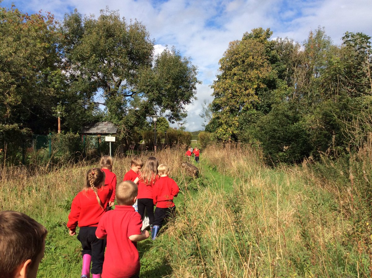 TrellechPrimary's tweet photo. Reception parents, I hope your children sleep well tonight. Forest School, pond dipping, scavenger hunt, daily mile and then a well deserved mindfulness drink. #outoorlearning #easfoundationphase https://t.co/oQdOYOw180