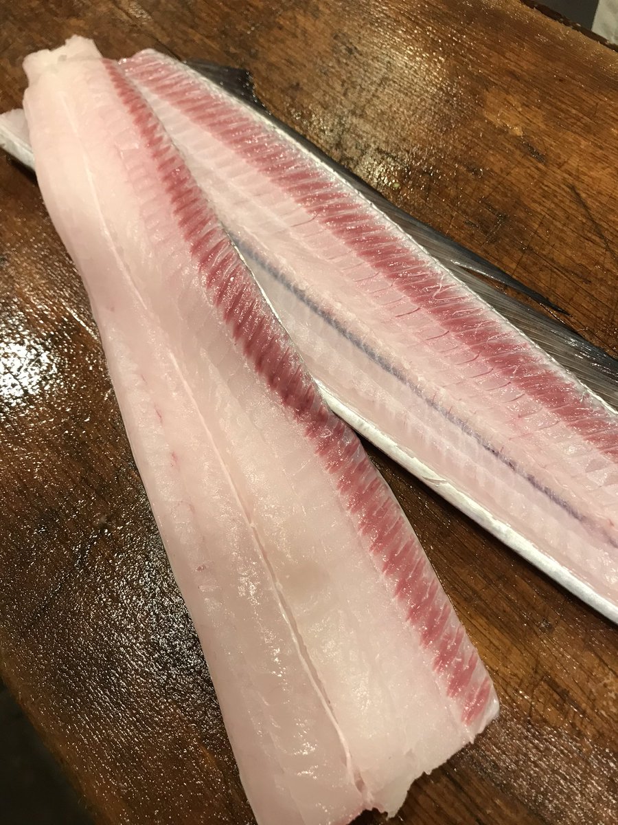 釣りたて太刀魚