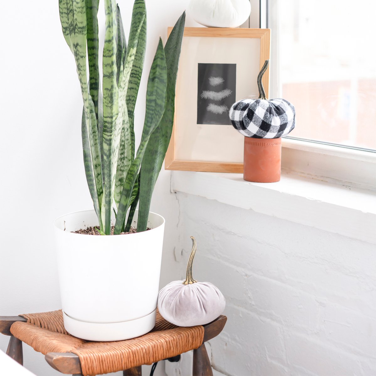 events_earth's tweet photo. Just adding some fall vibes into our home decor. We love using simple decor to refreshen up our home every season. Simple sometimes can make the biggest statement #fallvibes #eventplanner #sustainableevents #greenevents https://t.co/kUTds7T4yV