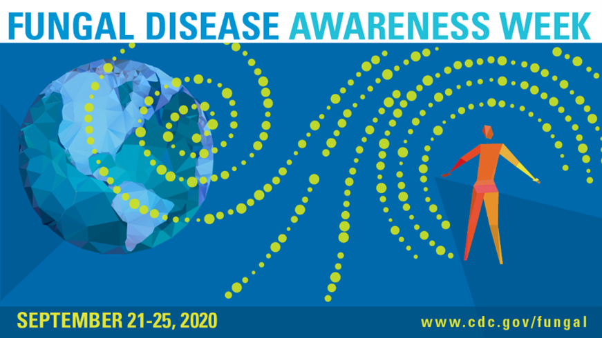Candida species, particularly C. auris, are a serious global threat. Accurate and timely identification and antimicrobial susceptibility testing (ID/AST) is essential. Browse our solutions &amp; learn more about #FungalDisease: bit.ly/3kI5VaE
