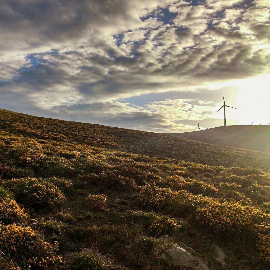 edgarliborio's tweet photo. eoeoeolico

#montemuro #portugal https://t.co/sMSGDhRunQ https://t.co/dNkO2np5lc