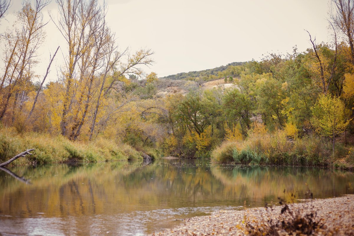 🍂 Lo estábamos esperando. El otoño ha llegado y pronto se dejará notar. Los verdes se volverán amarillos, y el espectáculo de colores será digno de disfrutar. ¿Vienes?
👉 Reserva en nuestra web... ow.ly/lJZn50ACNxR 

#balneario #trillo #naturaleza #otoño #escapada