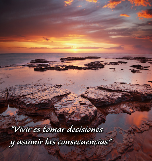 LAPASIONVERDE's tweet photo. https://t.co/GvpODBTjAt