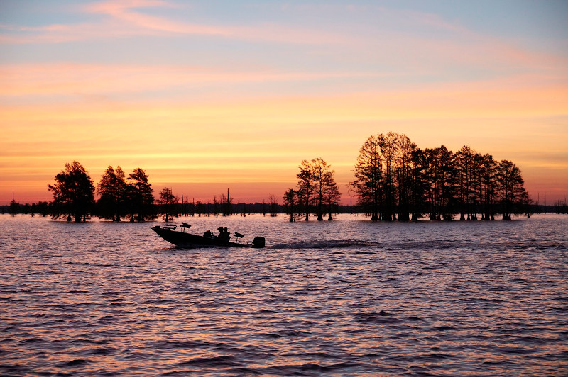 Discover_SC's tweet photo. Discover your next fishing adventure in South Carolina this fall. https://t.co/eD5TTlsKT0 #DiscoverSC #FallinSC #FishinSC https://t.co/T9SQd639xp