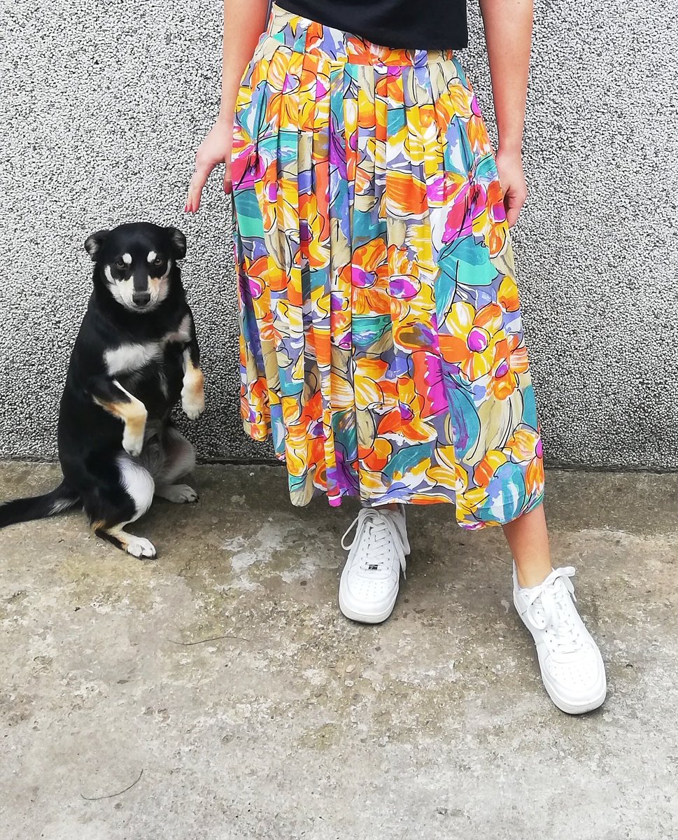 slagode's tweet image. ово куче није нормално кунем вам се