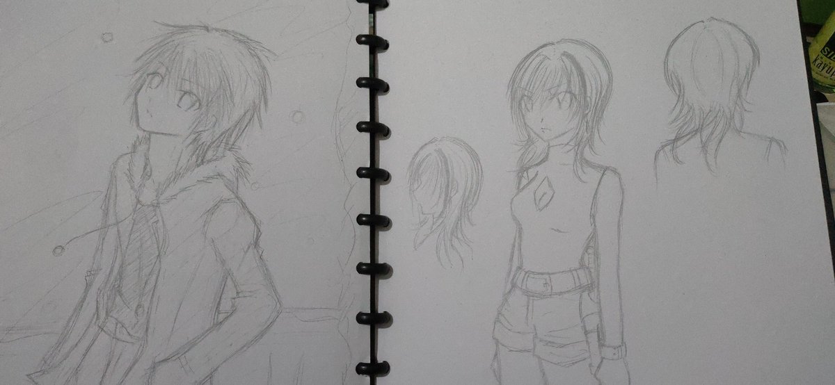 Found the one from 2010 though! End of junior and starting senior highschool... I think.. got a phone at that time so i browse quite a lot for anatomy and stuff