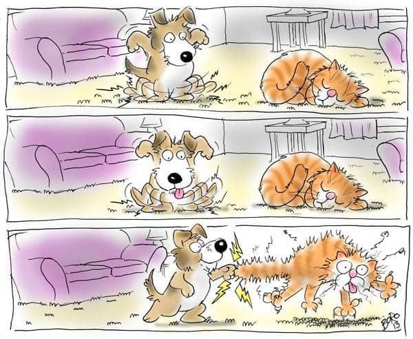 BeagleHumphrey's tweet photo. Oh I wish I had carpet! Stupid bare floors. #PlanFoiled #funny #beagleVsCat #prank #beagle #dogsoftwitter #CatsOnTwitter https://t.co/3BiTAJYcfN