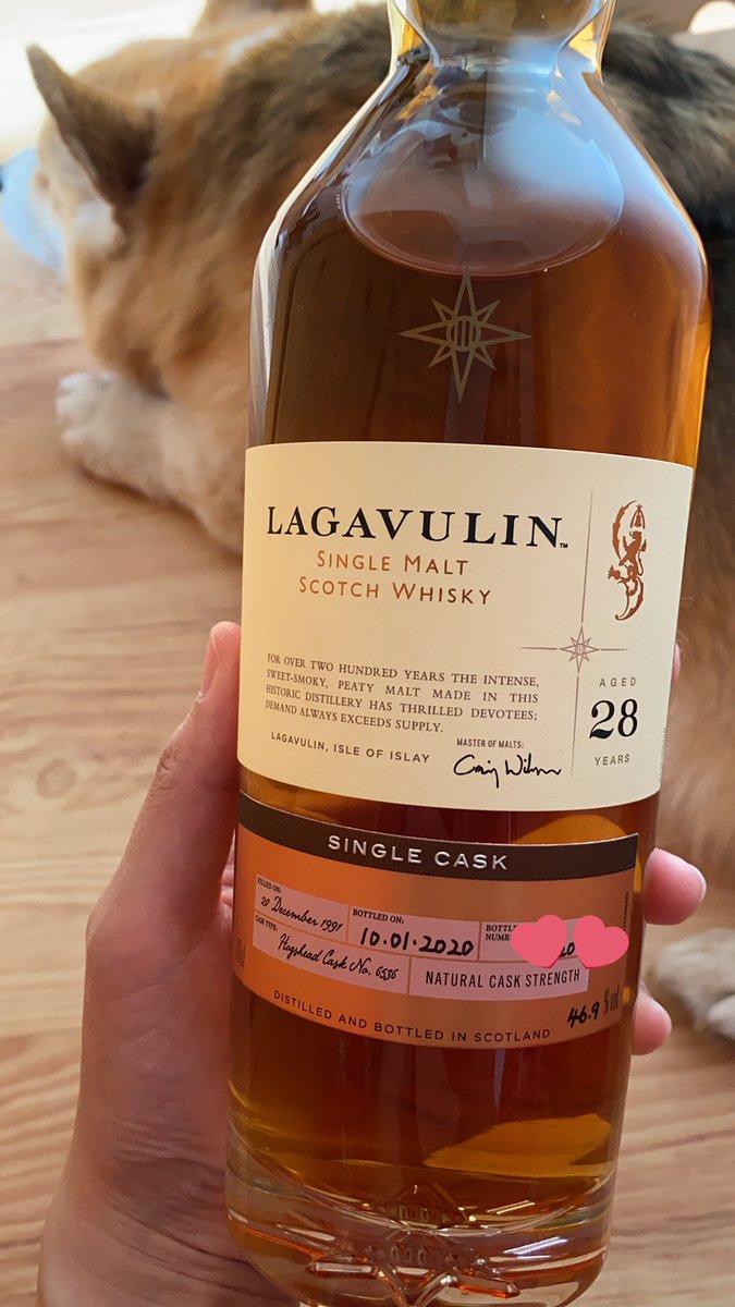 porridgeforlife's tweet photo. Todayโs delivery @LagavulinWhisky just got back from the vet worrying coz Rayray had this lump on him, so the vet said it was fat lump๐he needs to go on a diet now๐ #fatlump https://t.co/r1T15lE2jc