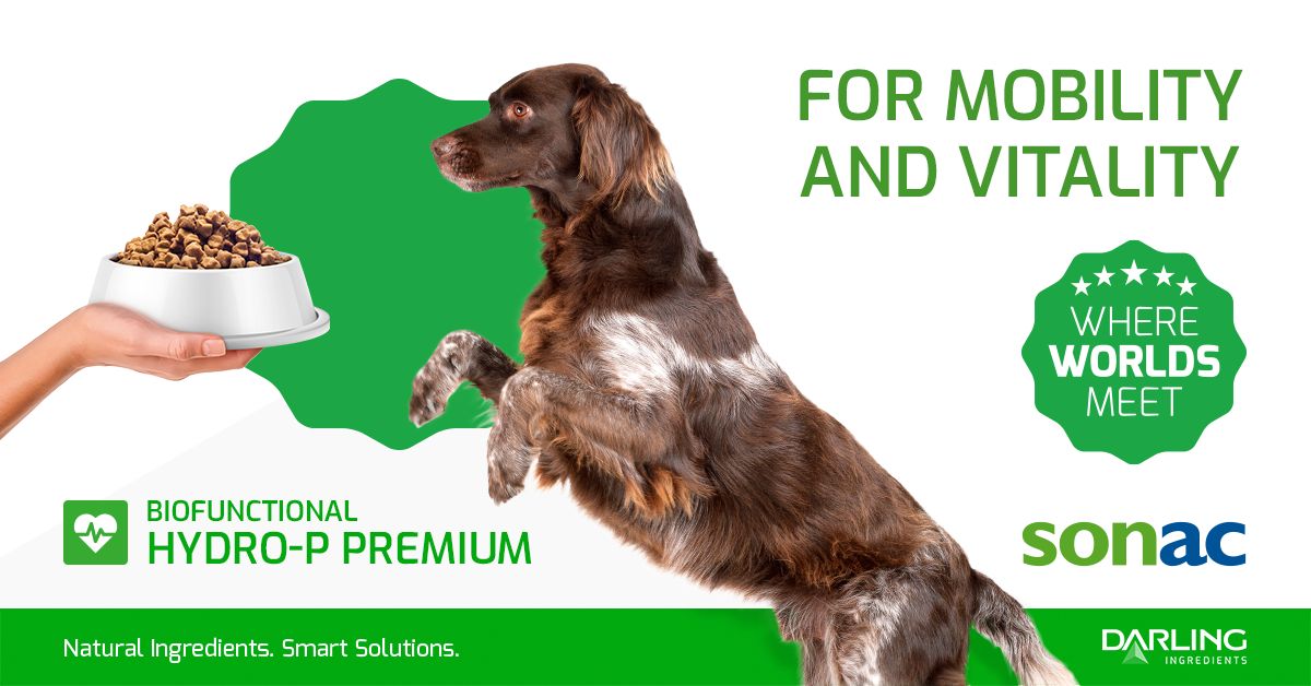 When dogs &amp; cats grow older, their bodies make less #collagen The strength &amp; integrity of connective tissues decline with age.
Results from scientific studies suggest that collagen hydrolysate can help.
Hydro-P Premium is a collagen hydrolysate type I. mailchi.mp/darlingii/hydr…