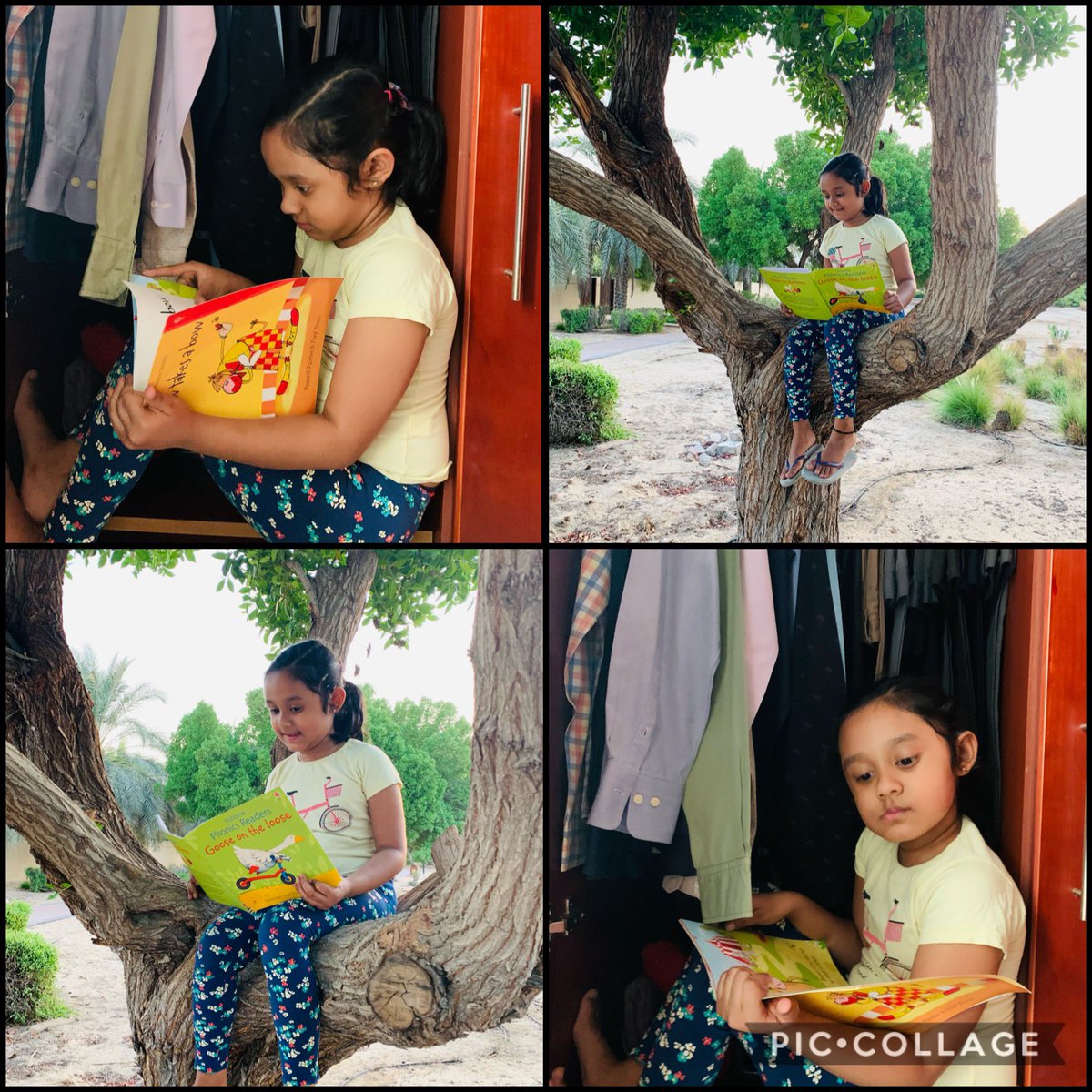 Artsz's tweet photo. A book is a dream that you hold in your hands! Akshara, KG2D, reading a book.. anytime, anywhere.. be it daddy’s closet or high up on a tree! #KGLiteracyWeek @Fatima_Martin @Bushra_b05 @gemsnms_alkhail @Susanna_Porob @famidachoudhar1 @nmsKindergarten @GanapaKalpa https://t.co/gVkUrRmxHS
