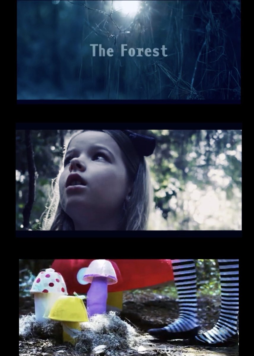 This is B in some #BTS of “THE FOREST” short coming soon. Please follow <a href="/morphstore/">MCA & Morphstore</a> for this and more HALLOWEEN inspired fun projects. Any guesses what it’s inspired by?!?. One of our favorite stories. #welovehalloween #halloweenisnotcancelled