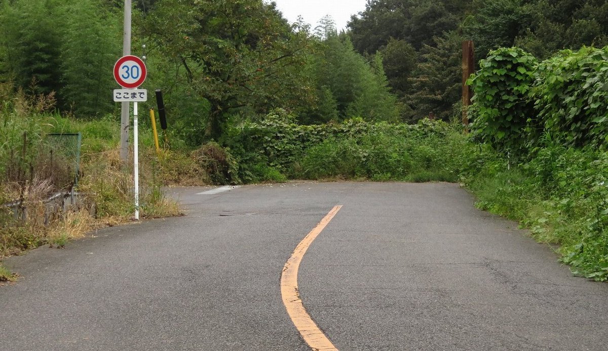 たこ 道路好団垢 オレンジ線の2車線道路が突如途切れ 草の壁に突っ込む悪質な行き止まり こういう行き止まりが大好物なのです 道路 たこ 道路好団垢 オレンジ線の2車線道路が突如途切れ 草の壁に突っ込む悪質な行き止まり こういう行き止まりが大好物なのです 道路