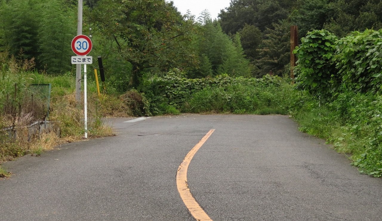 たこ 道路好団垢 オレンジ線の2車線道路が突如途切れ 草の壁に突っ込む悪質な行き止まり こういう行き止まりが大好物なのです 道路 T Co R9nwoxwmu3 Twitter