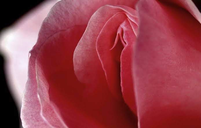 CastroM01e's tweet photo. @Azami_1110 @azamisan1110 https://t.co/3l6qn7vi6w