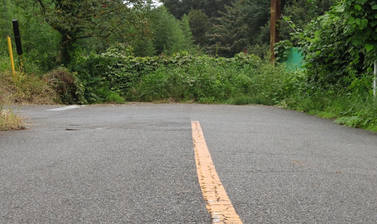 たこ 道路好団垢 オレンジ線の2車線道路が突如途切れ 草の壁に突っ込む悪質な行き止まり こういう行き止まりが大好物なのです 道路 たこ 道路好団垢 オレンジ線の2車線道路が突如途切れ 草の壁に突っ込む悪質な行き止まり こういう行き止まりが大好物なのです 道路