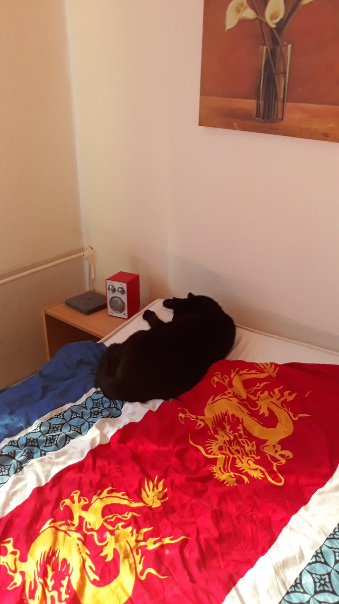 So so wir fahren etwas runter für heute.
Habe ja genug gemeckert.
Wir wünschen einen schönen Abend-auch ein Gruß von Kater Erwin.