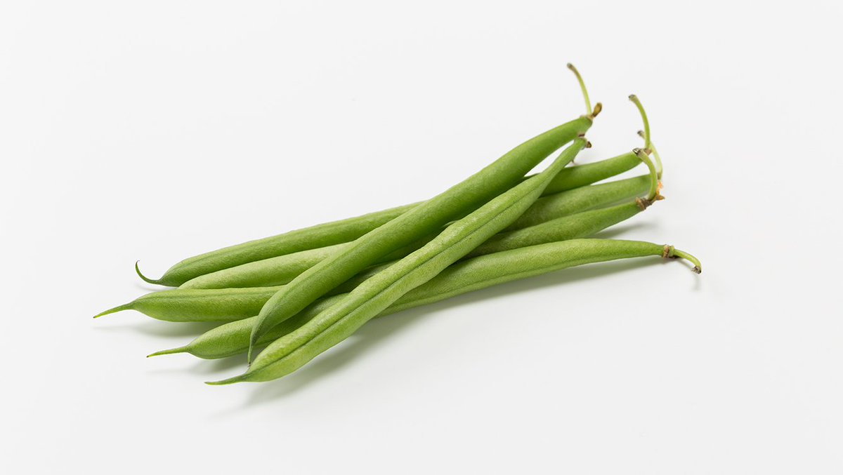 おやすみなさいんげん