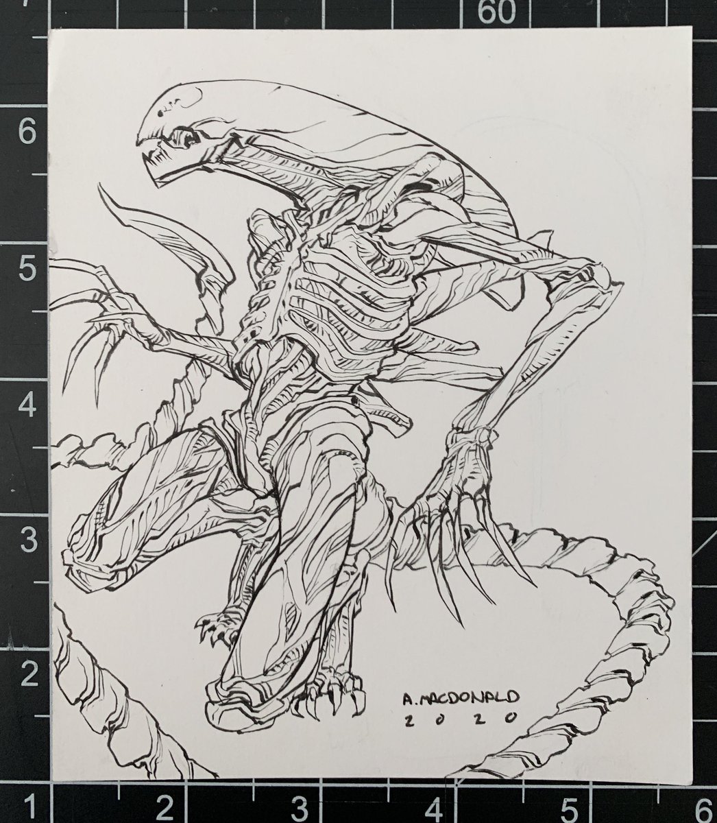 andymacdeez's tweet photo. ALIEN - #sketchoftheweek w/ @glennurieta @kenknudtsen @epicprops @seanchenart @thebernardchang
Original available here: https://t.co/NY9om3tRdJ
#alien #aliens #zenomorph #gameovermangameover #nukefromorbitjusttobesure https://t.co/G72LJzr91N