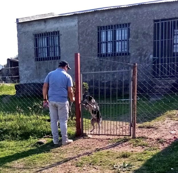 Lista315Salto's tweet photo. Barrio por barrio los dirigentes de la #Lista315 recorren en estos últimos días que restan a la elección para que este 27 de setiembre con el apoyo popular lleguemos a representar nuevamente a la ciudadanía desde la Junta Departamental y a Ganar con #GermanIntendente. ¡VAMOS! https://t.co/PzgeSrcrvJ