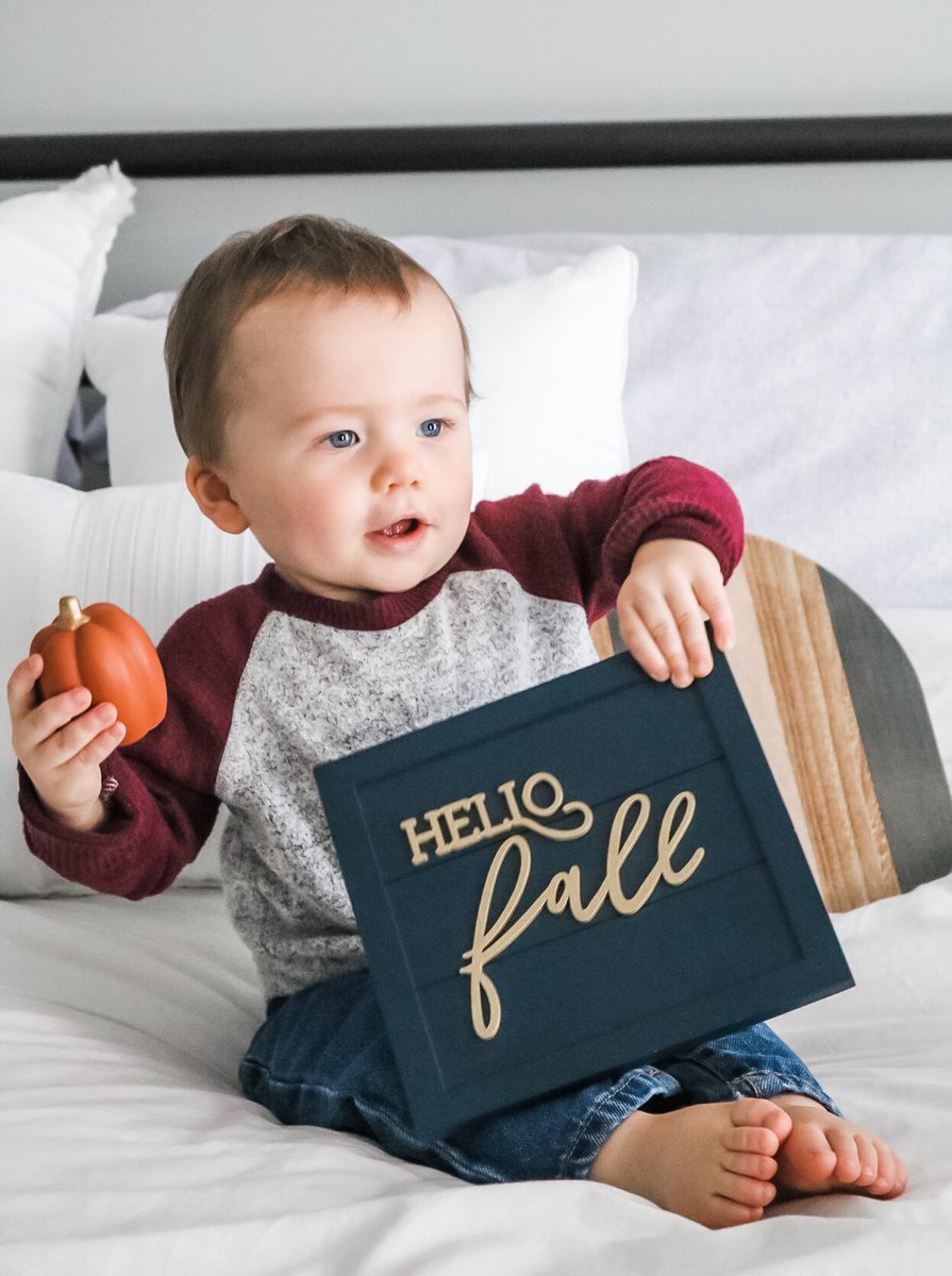 Shawnb2365's tweet photo. My Grandson Owen says “Bring on the Fall”. Rachael is a Wonderful Mommy and Photographer! https://t.co/EXYDS4Vwo4