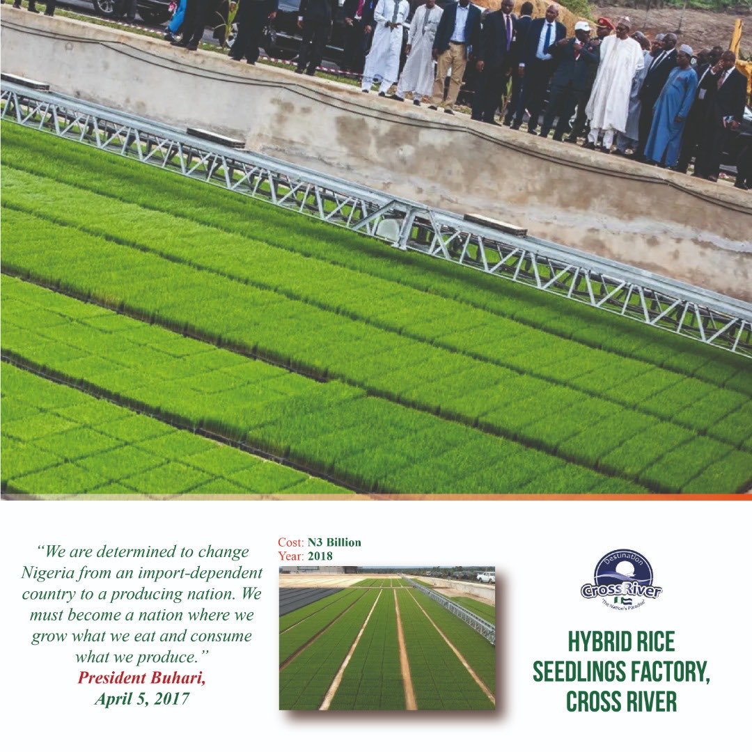 In 2018, Cross River state Government, commissioned its brand new N3 billion Hybrid Rice Seedlings Factory to supply seedlings nationwide.