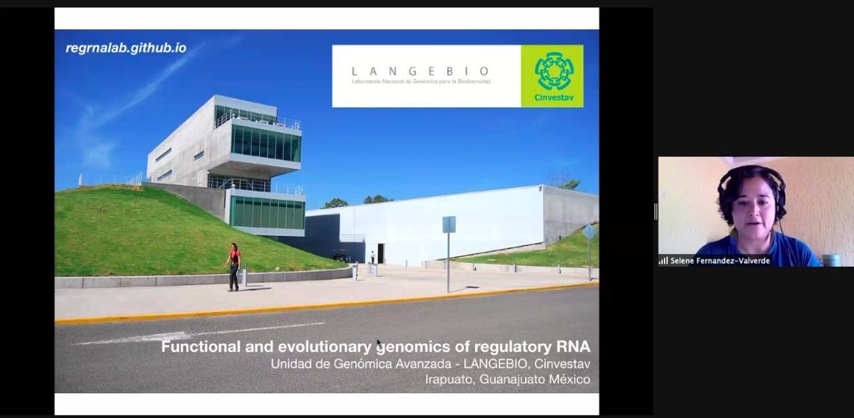 WBDSLA's tweet photo. 📣Third day of the #1WBDS_LA
🎙️Now we are listening to @SelFdz in her talk about “Splicing conservation in plant long non-coding RNAs”
👉 Don’t miss it! Join us on: https://t.co/MyDy95yojJ
#GenomicsAndEvolution https://t.co/OfT2ol359H